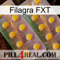 Filagra FXT new10